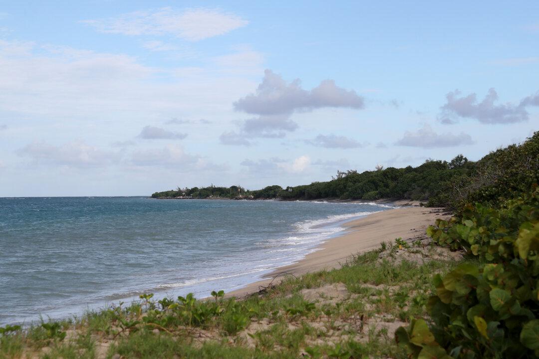 Caribbean Nation of St Kitts Launches Investigation After 19 People Found Dead in Drifting Vessel