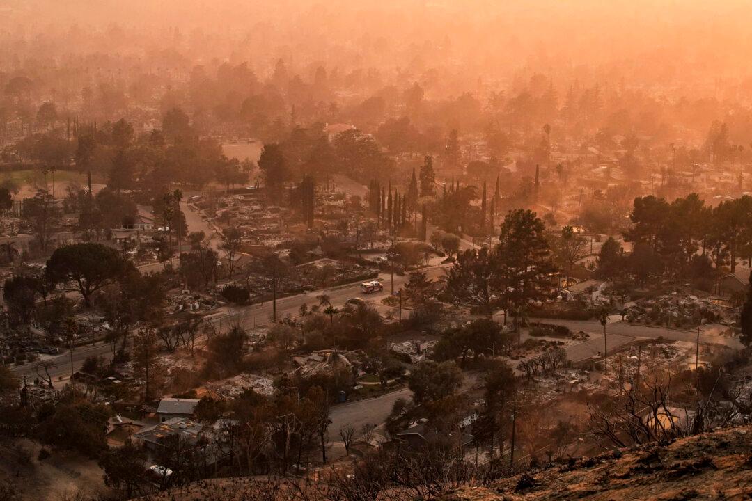 95-Year-Old Hollywood Actress Dalyce Curry Dies in LA Wildfires