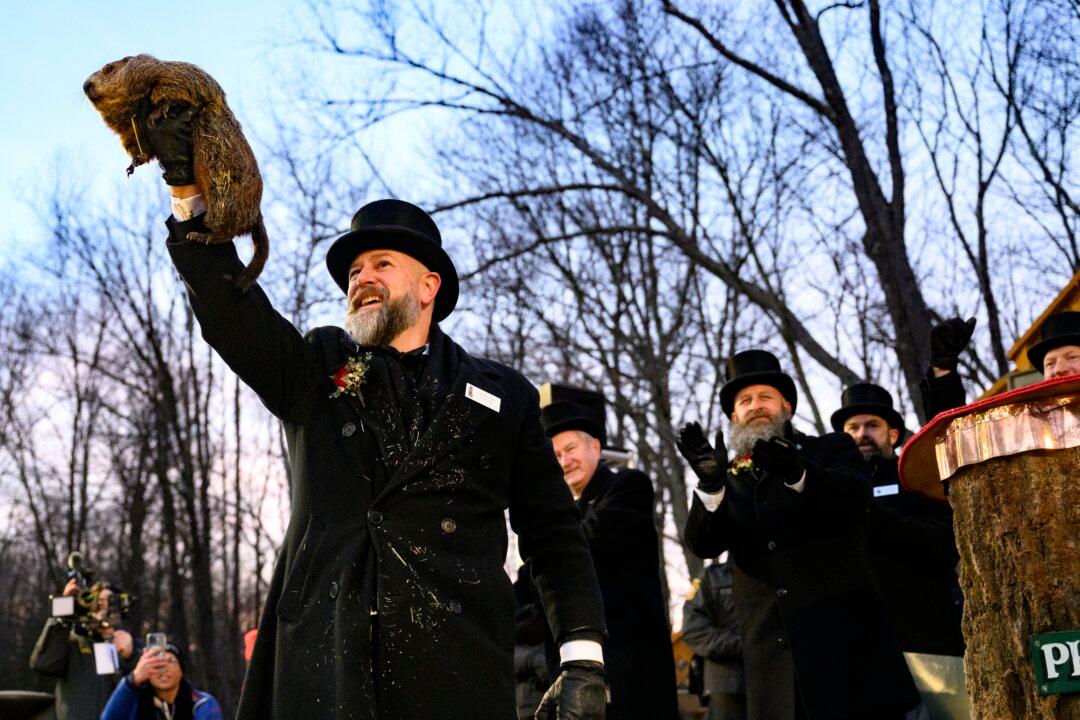 Punxsutawney Phil Sees His Shadow, Handlers Say, Predicting 6 More Weeks of Wintry Weather