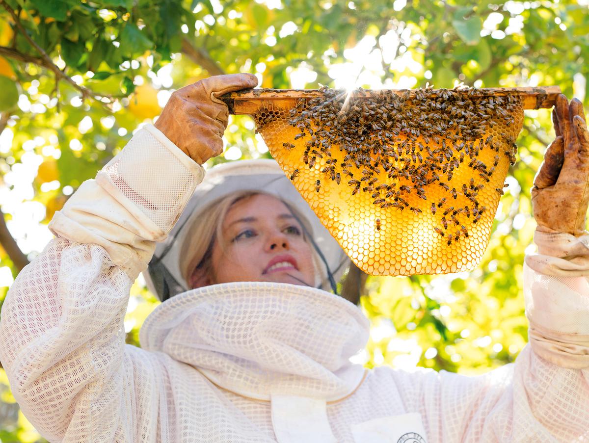 From the Rat Race to Beehives: How a Self-Taught Beekeeper Found Her Calling