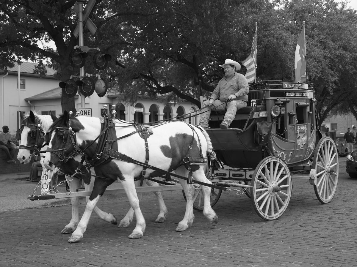 Henry P. Leland’s Short Story, ‘The Dutchman Who Had the “Small Pox”’