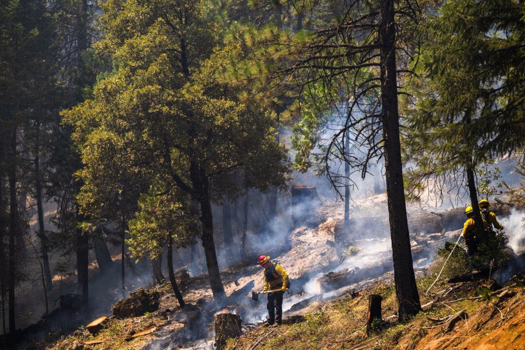 California Bill Seeks to Streamline State’s Timber Harvesting Process