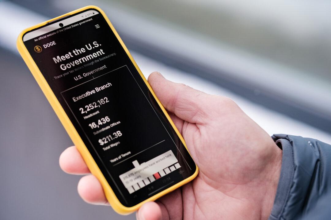 Austerity Has a Price: The Cost of DOGE