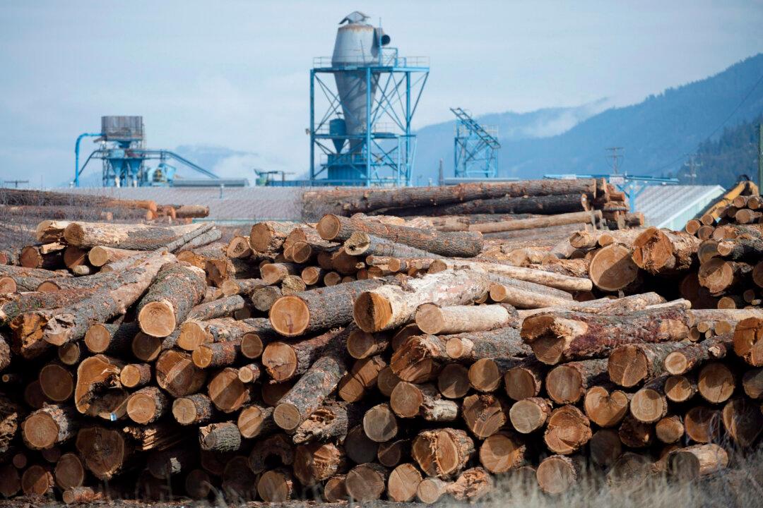 US Plans to Nearly Triple Anti-Dumping Duty on Canadian Softwood as Tariffs Loom