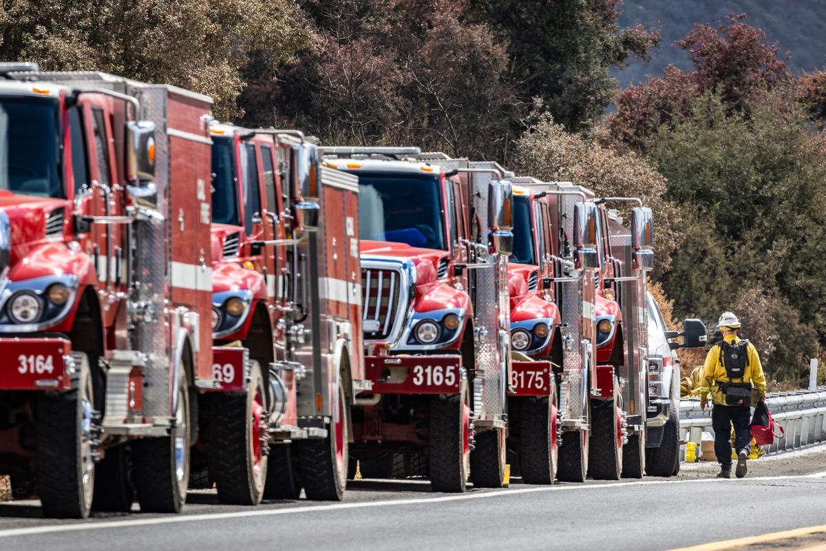 California Emergency Order Aims to Lower Fire Risk by Speeding Up Removal of Brush, Dead Trees
