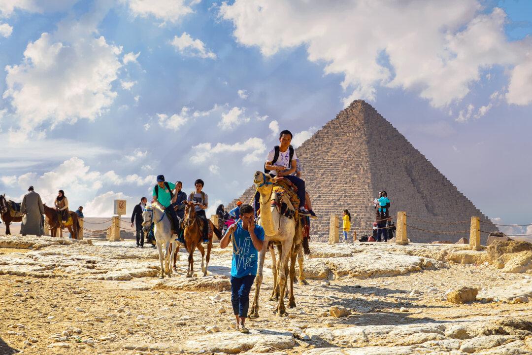 Airbnb and Other Travel Companies Stop Offering Animal Rides at Giza Pyramids After PETA Investigation