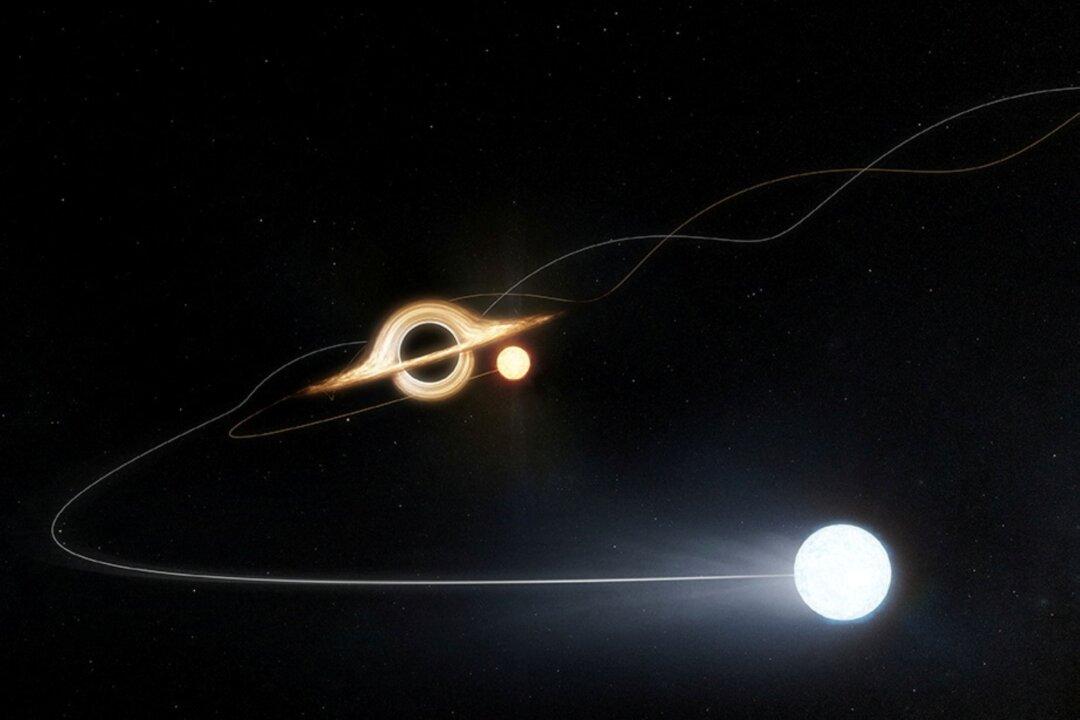 Fast-Moving Stars Reveal Supermassive Black Hole Inside Nearby Galaxy