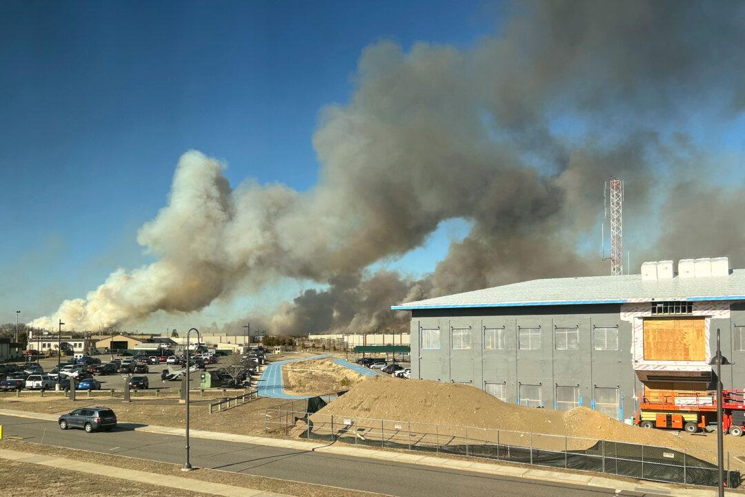 Long Island Brush Fires Extinguished After New York Declares State of Emergency