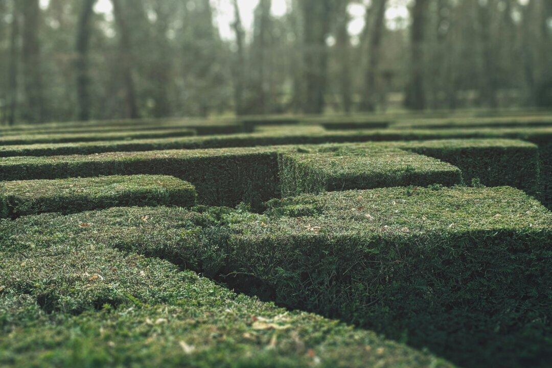 DOGE’s Key Revelation