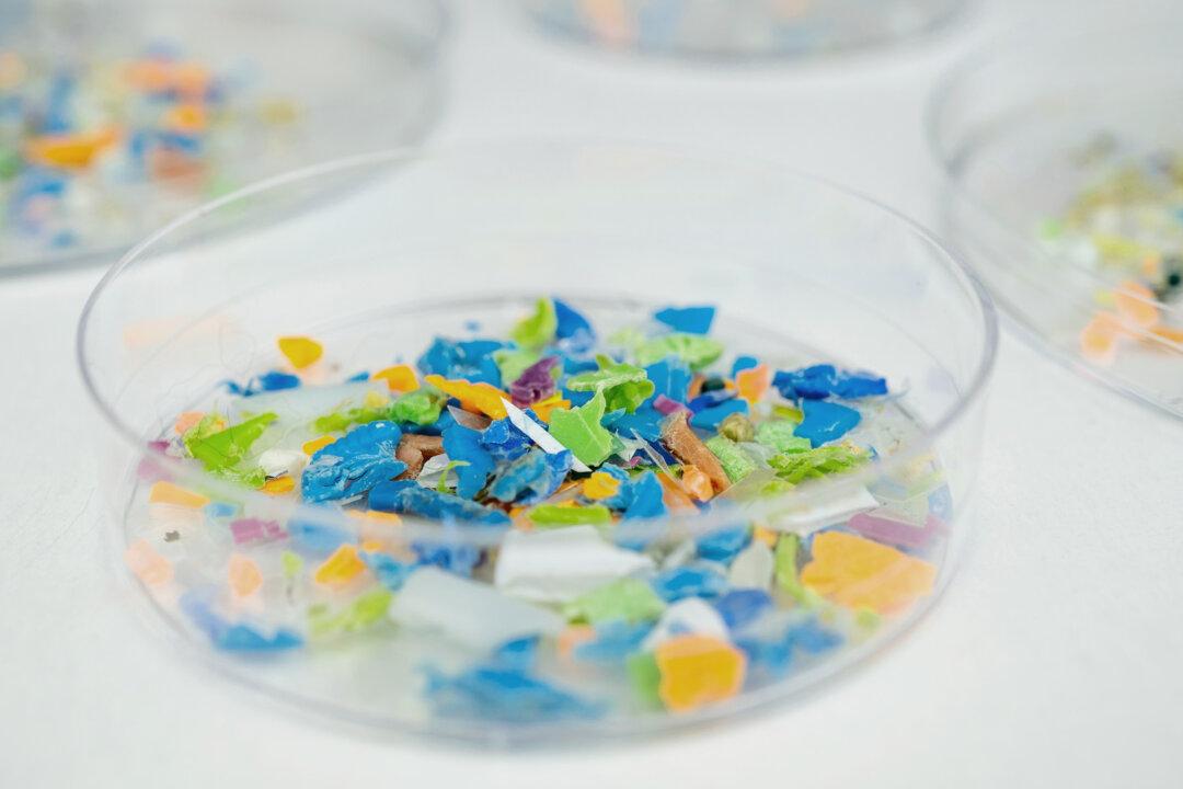 Microplastics in the Environment May Fuel Antibiotic Resistance