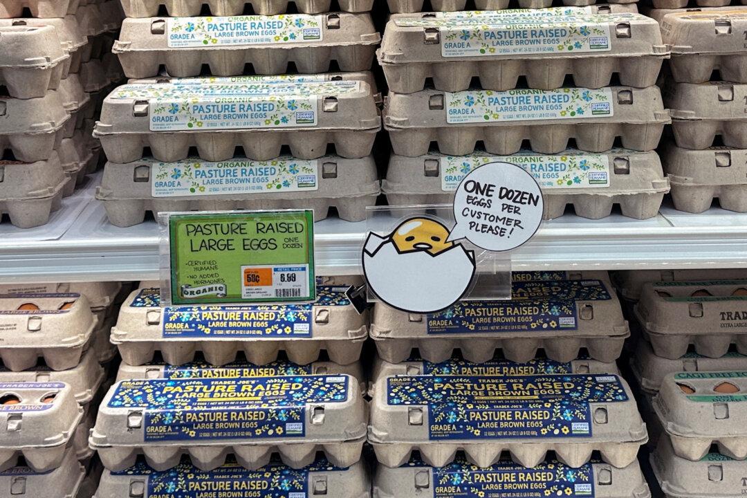 Egg Prices Down $1.85 in Less Than 2 Weeks: Agriculture Secretary