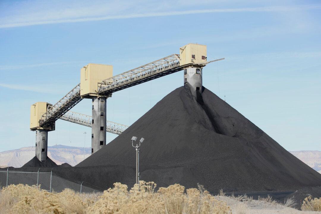 Review of Greenhouse Gas Rule May Assure Coal Survival, but Not Revival