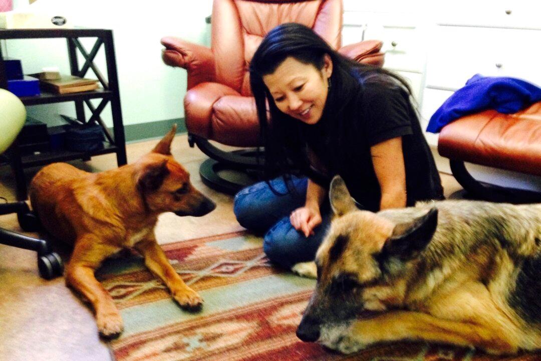 Gene Hackman’s Dog Likely Died of Dehydration, Starvation: Report