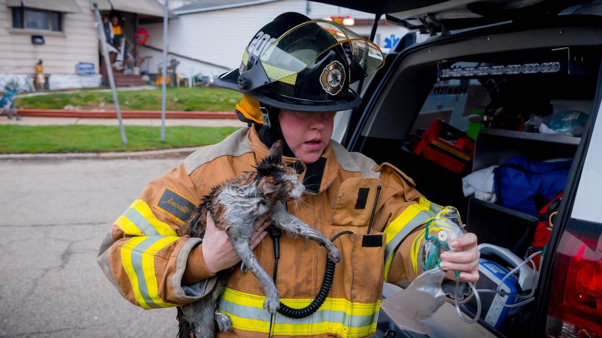 After Home Fire, Bathe Pet and Visit Veterinarian