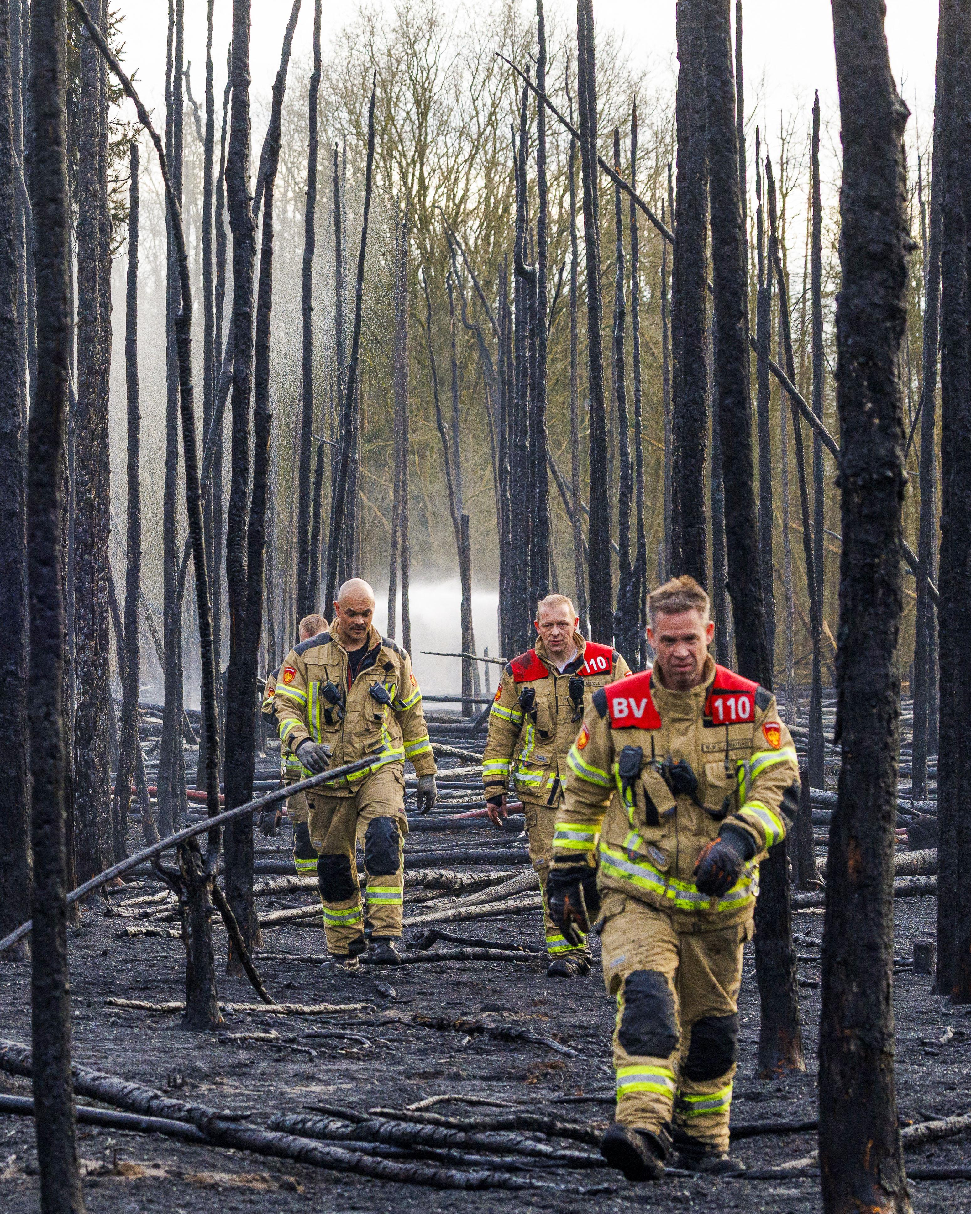 Day in Photos: Forest Fire in Belgium, Snap Elections Called in Canada, and Celebration in Zimbabwe