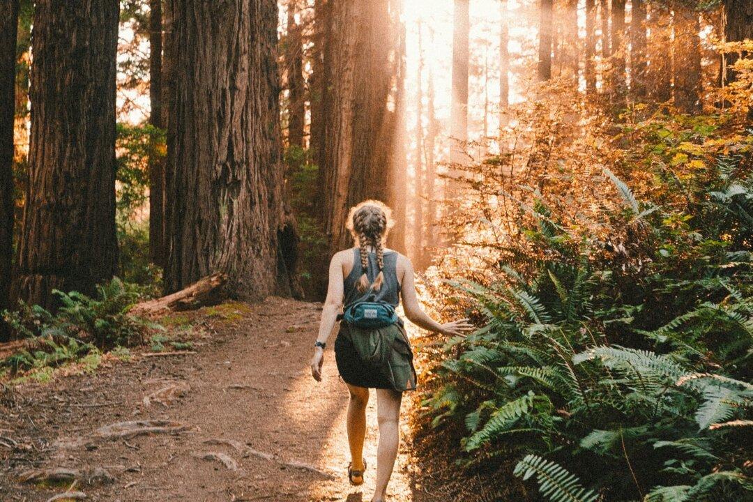 Nature’s Therapy: A Prescription for Time Outdoors