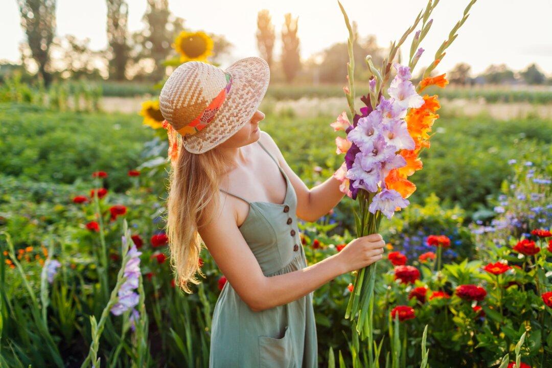 Grow Your Own Bouquets: How to Start a Cut Flower Garden