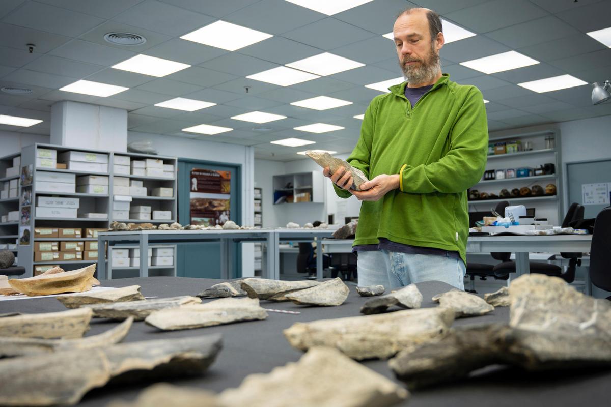 Ancient Humans Made Tools From Animal Bones 1.5 Million Years Ago