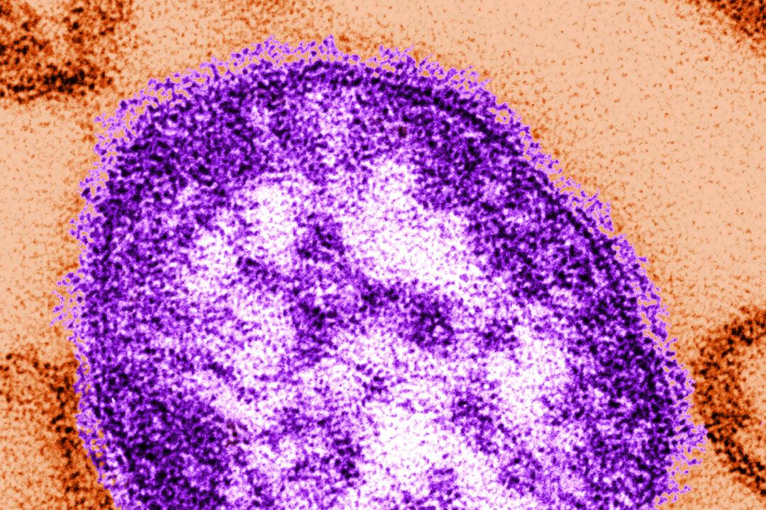 More Than 250 People Quarantined in South Carolina Over Measles Outbreak, Officials Say