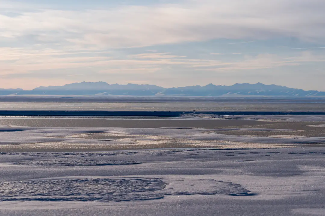 US Sells 5 Oil and Gas Leases in Alaska’s Arctic Refuge for $3.7 Million