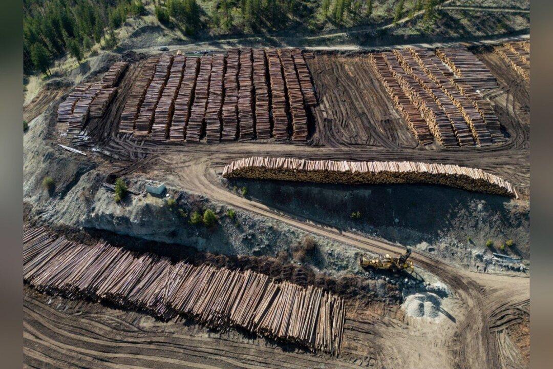 BC Premier to Meet With Mark Carney Over the Soaring Lumber Duties Imposed by US