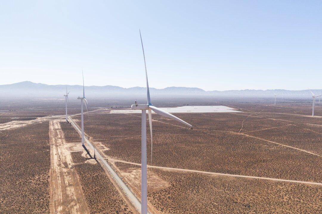 Opposition Leader Says He Believes in Climate Change Following Leaders’ Debate