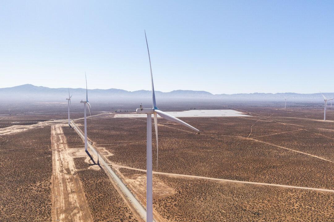 Adelaide in Prime Position to Host COP31 as Australia Pushes for UN Climate Event