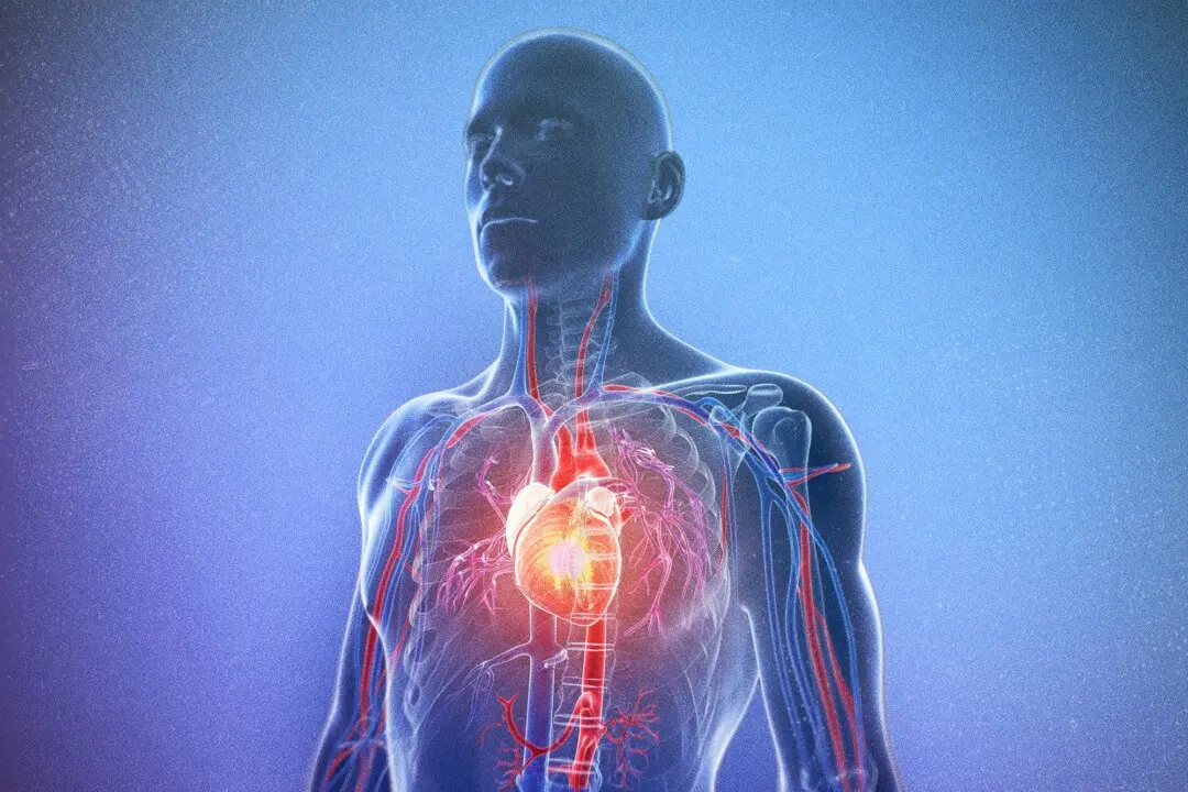 Human Heart Muscle Regenerates After a Heart Attack, Scientists Find