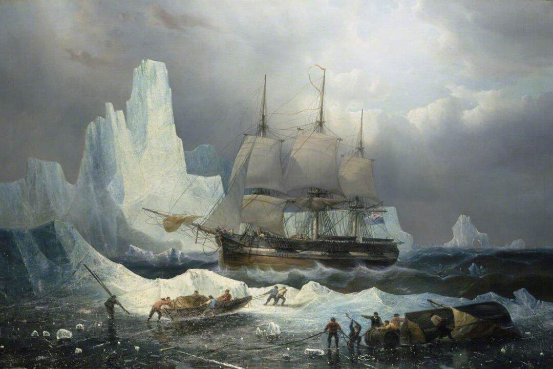 The Lost Franklin Expedition: Losses and Gains
