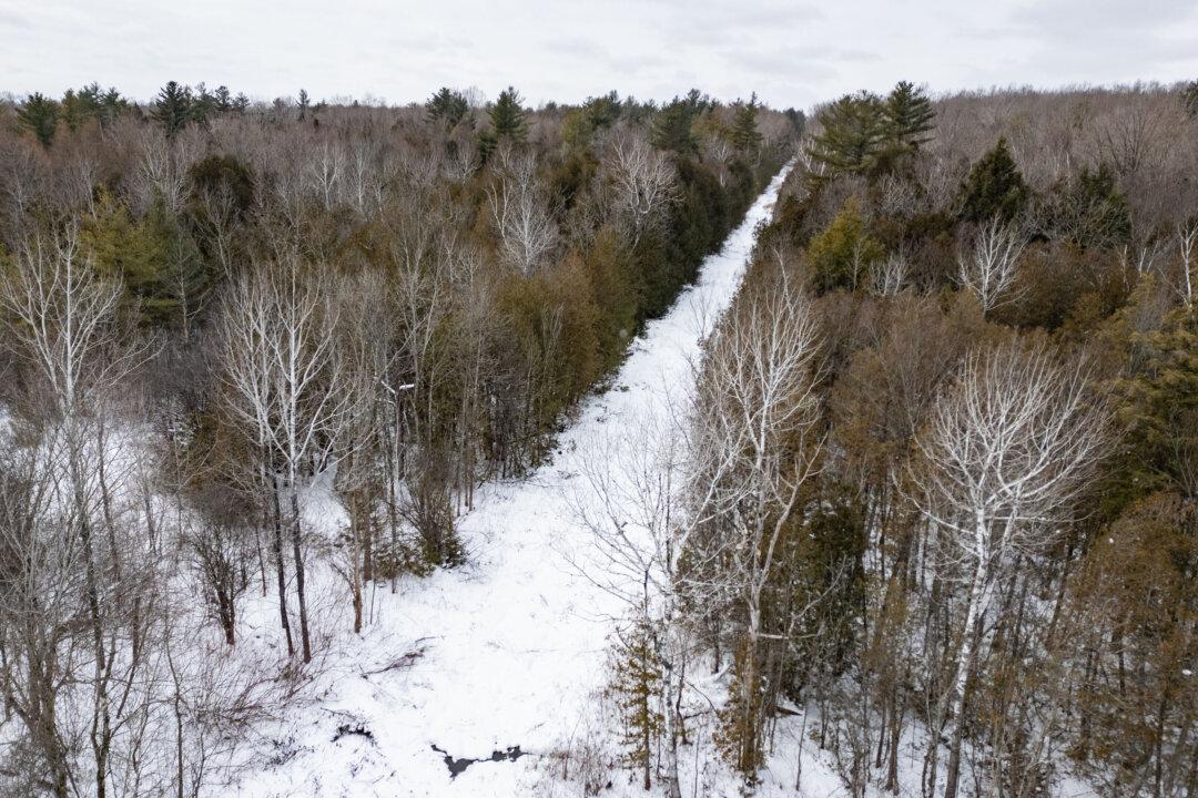 LIVE NOW: Snow Blankets Syracuse as Winter Storm Sweeps Across the Northeast