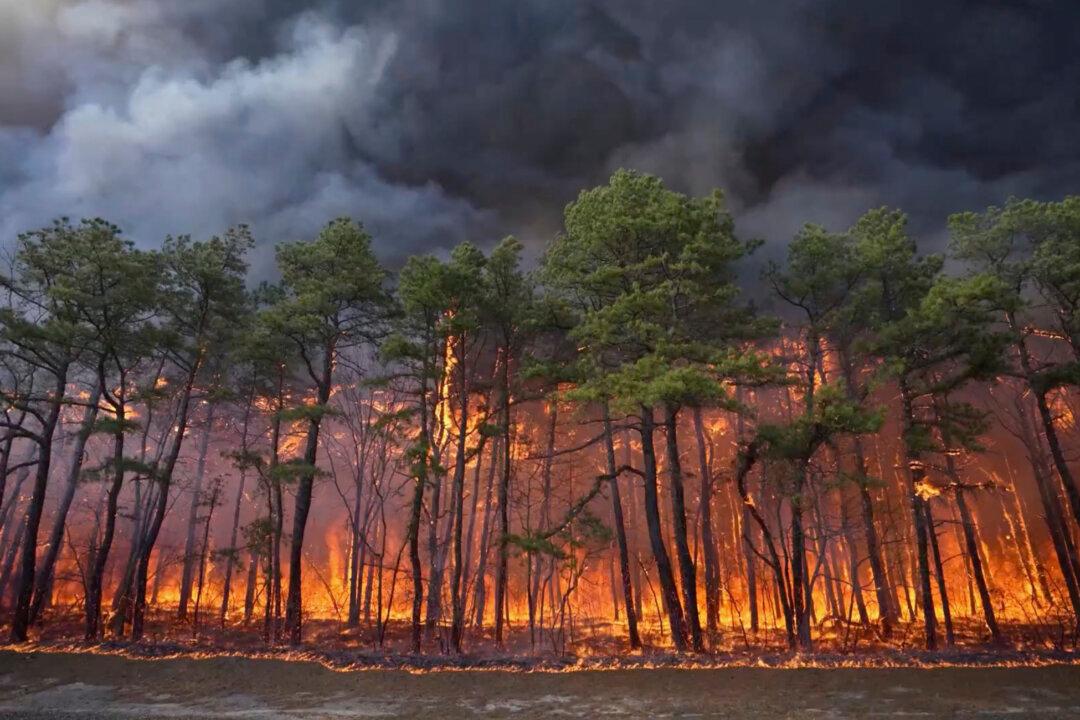 Man Charged With Arson in New Jersey Pine Barrens Fire, Officials Say