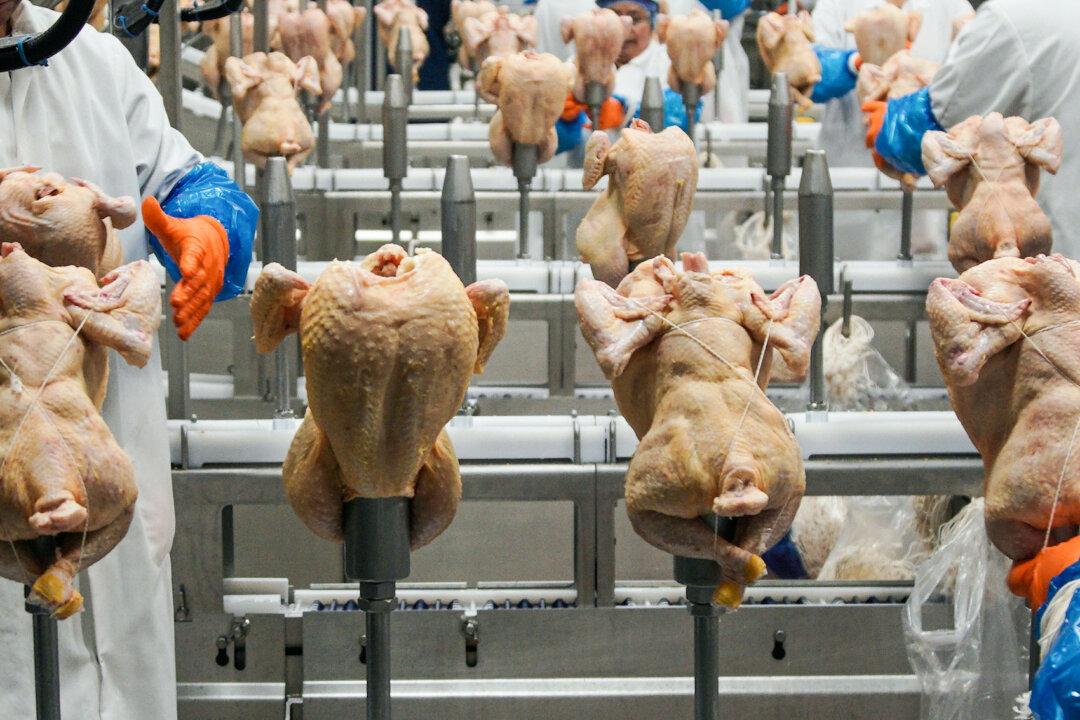 USDA Withdraws Proposed Rule to Limit Salmonella in Raw Poultry