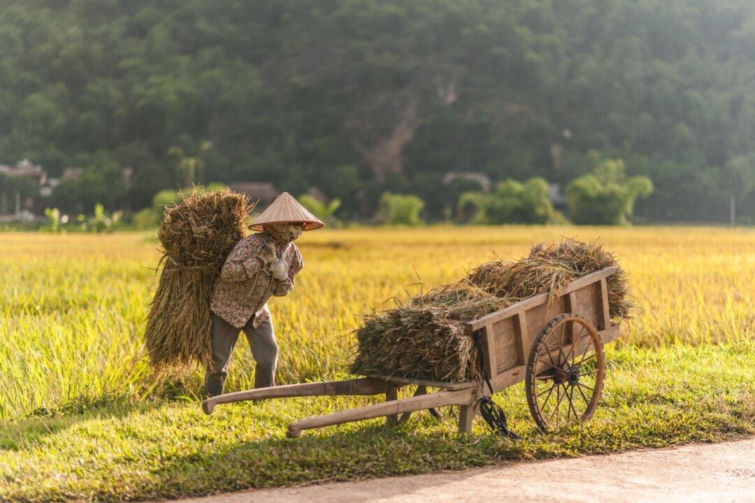 The Root of Totalitarianism Is Social Engineering