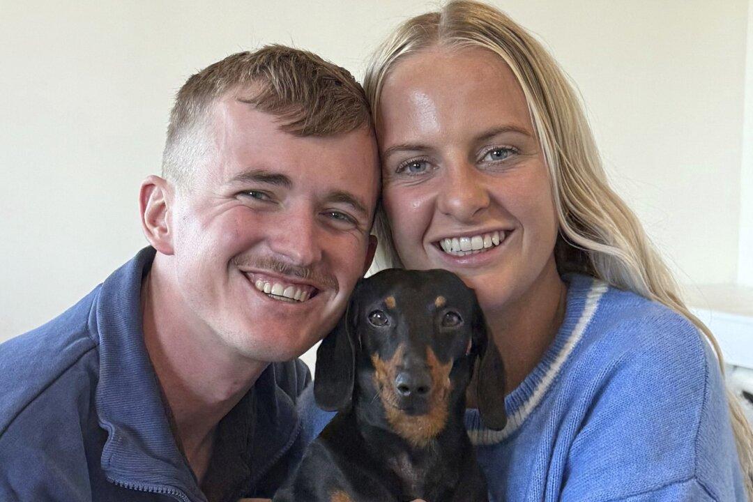 Miniature Dachshund Reunited With Its Owner After 18 Months Lost on Australian Island