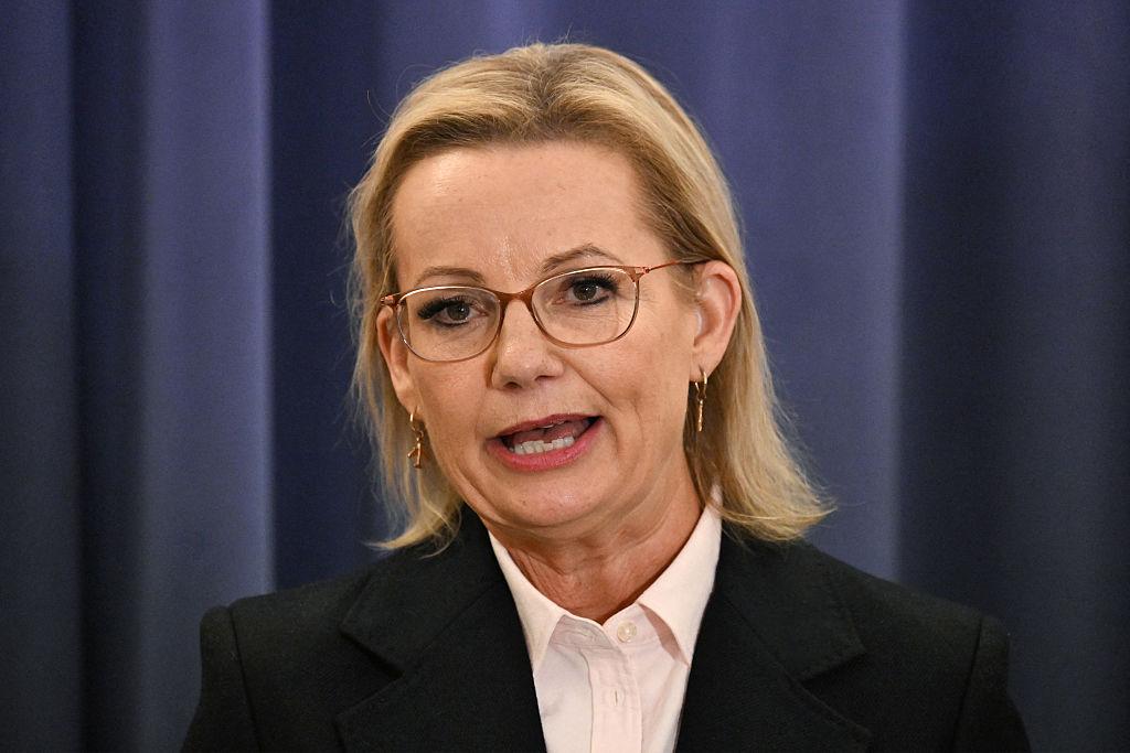 Ley Defends ‘Assertive Women’ After Liberal Stalwart Suggests Male Quotas