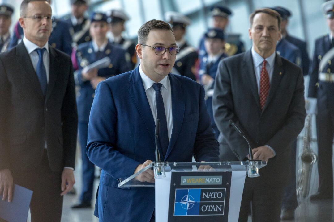 Czech Authorities Blame Chinese Hacking Group for Foreign Ministry Breach