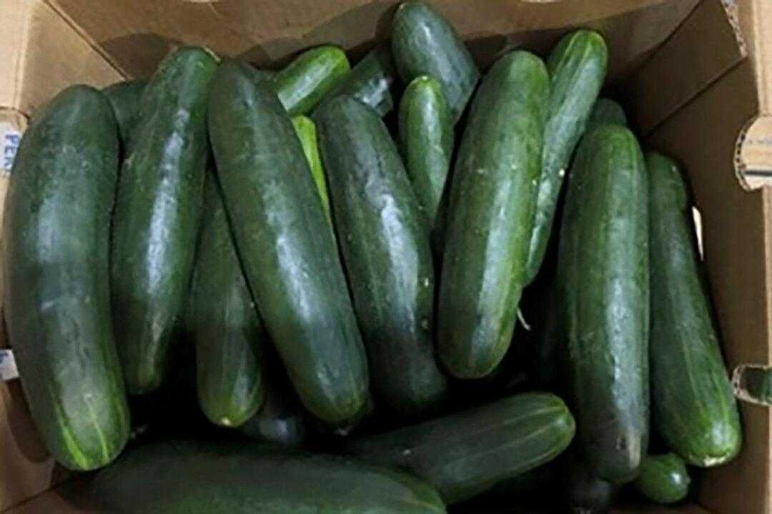 Salmonella Outbreak Linked to Recalled Cucumbers Sickens Dozens Across 18 States