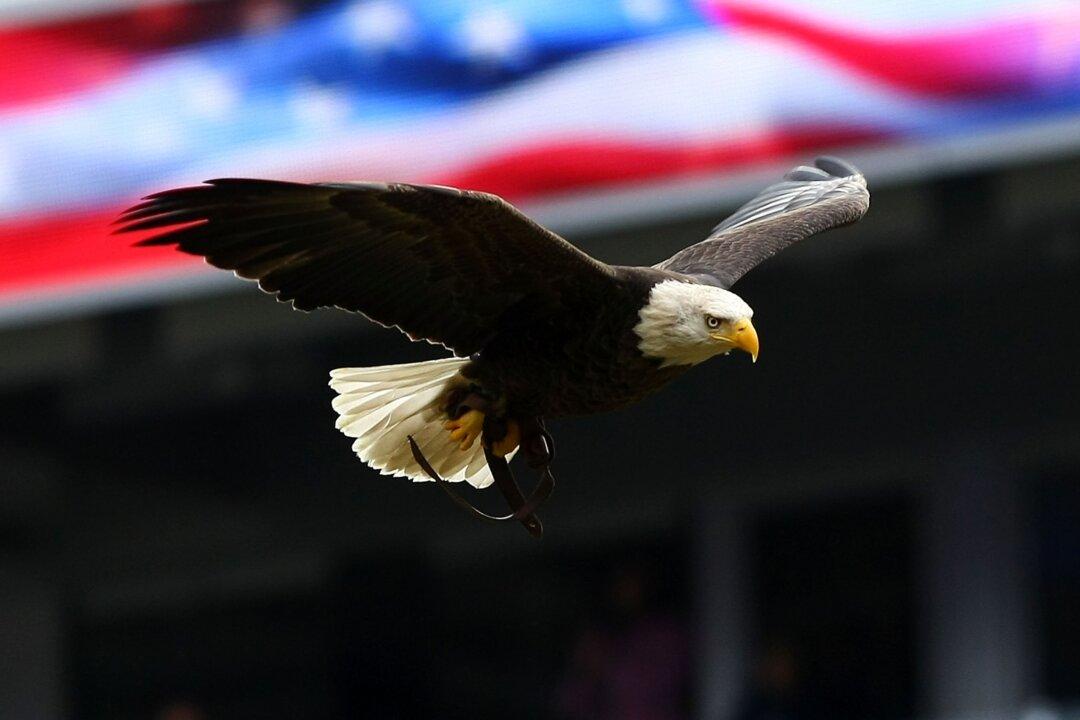 Patriotism and Entitlement