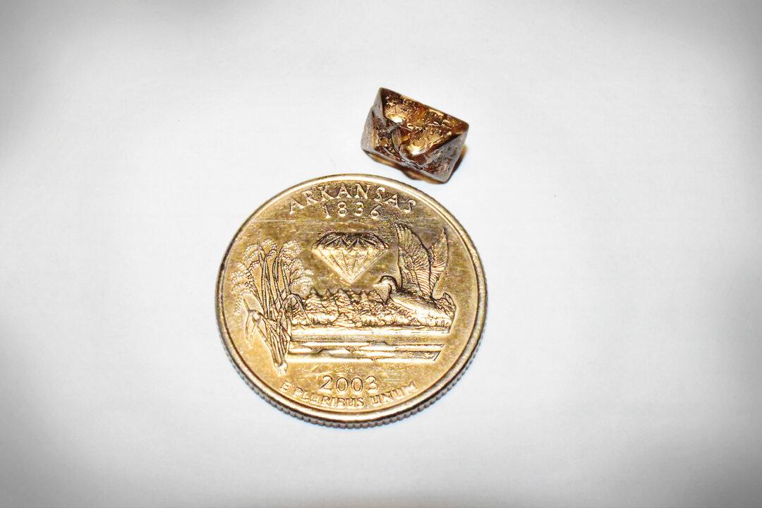 Minnesota Man Finds 3.81-Carat Diamond in Arkansas’ Famous Volcanic Crater Park
