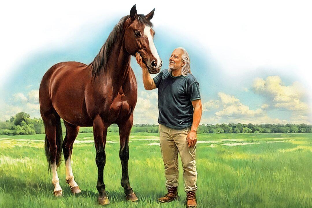 How to Talk to Your Horse