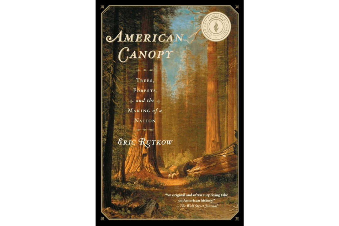 ‘American Canopy’ Motivates Readers to Take a Walk in the Woods