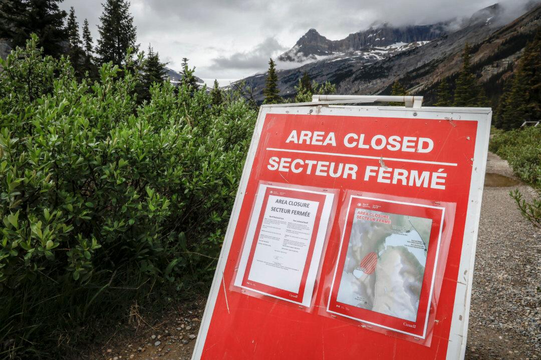 Victim of Banff Rockslide Identified as Retired University of Alberta Professor