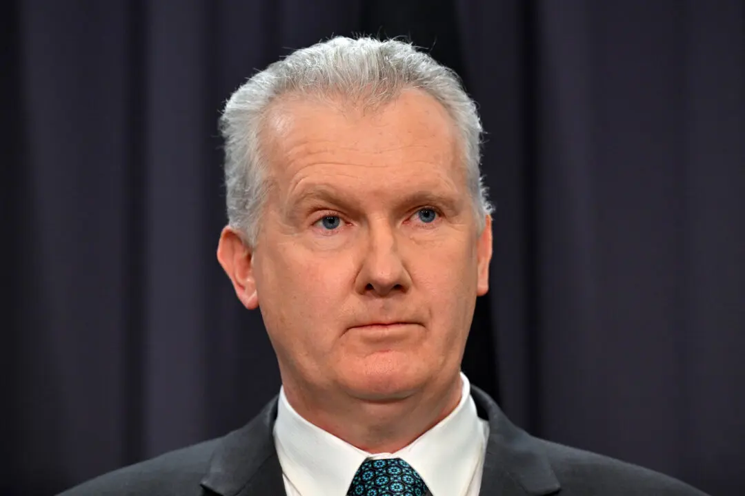 Tony Burke Held ‘Secret’ Meetings on Return of ISIS-Linked Australians