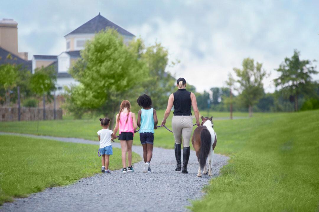 Take the Kids Horseback Riding at Salamander Middleburg