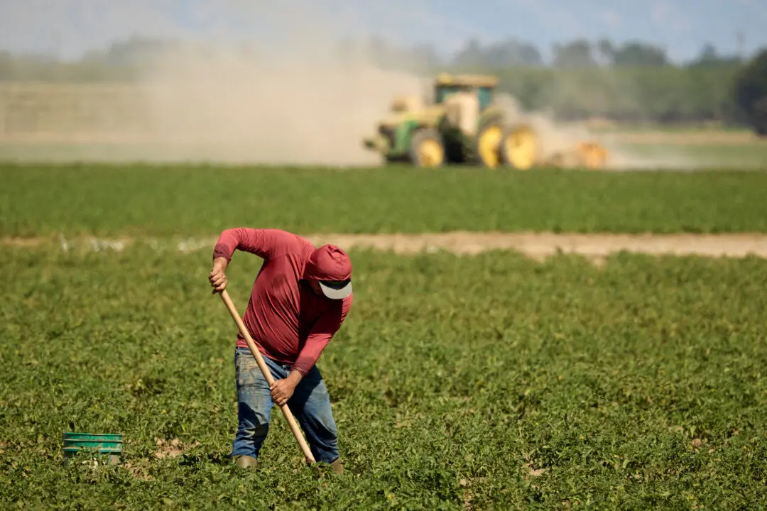 The Labor Crisis Nobody Wants to Admit