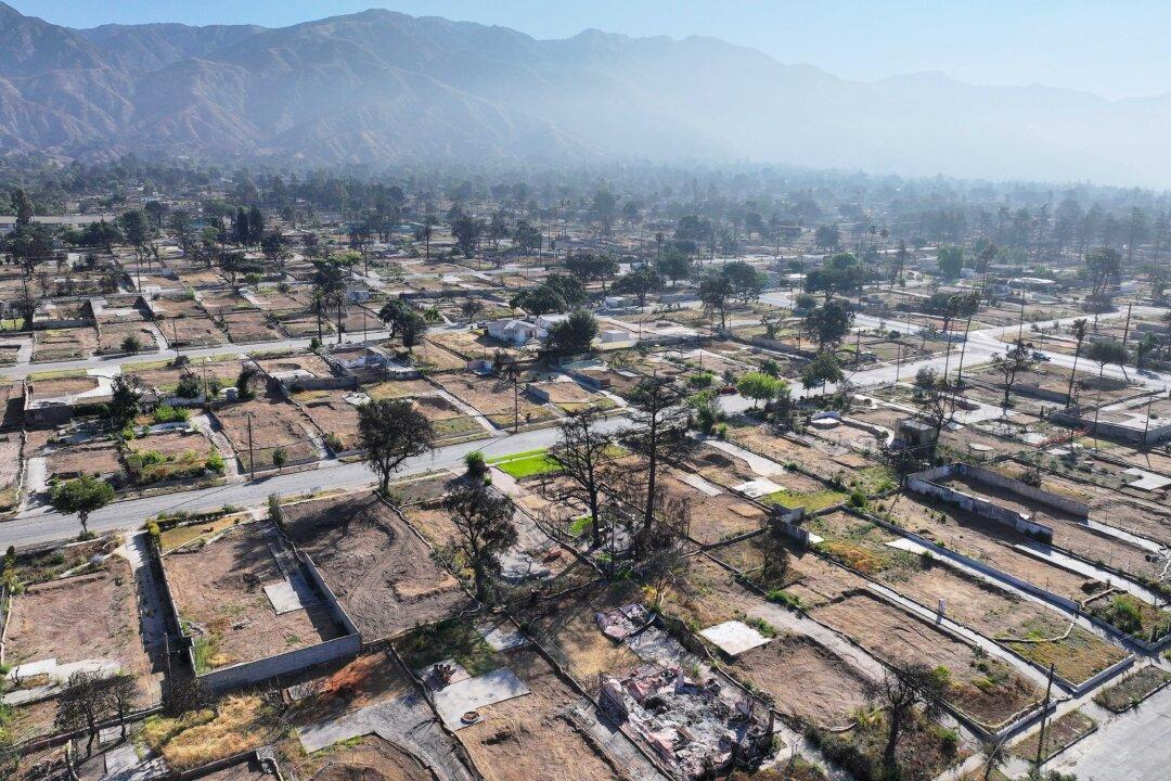 Landscape Recovery Center Launched Near 2025 Fire Area in Los Angeles County