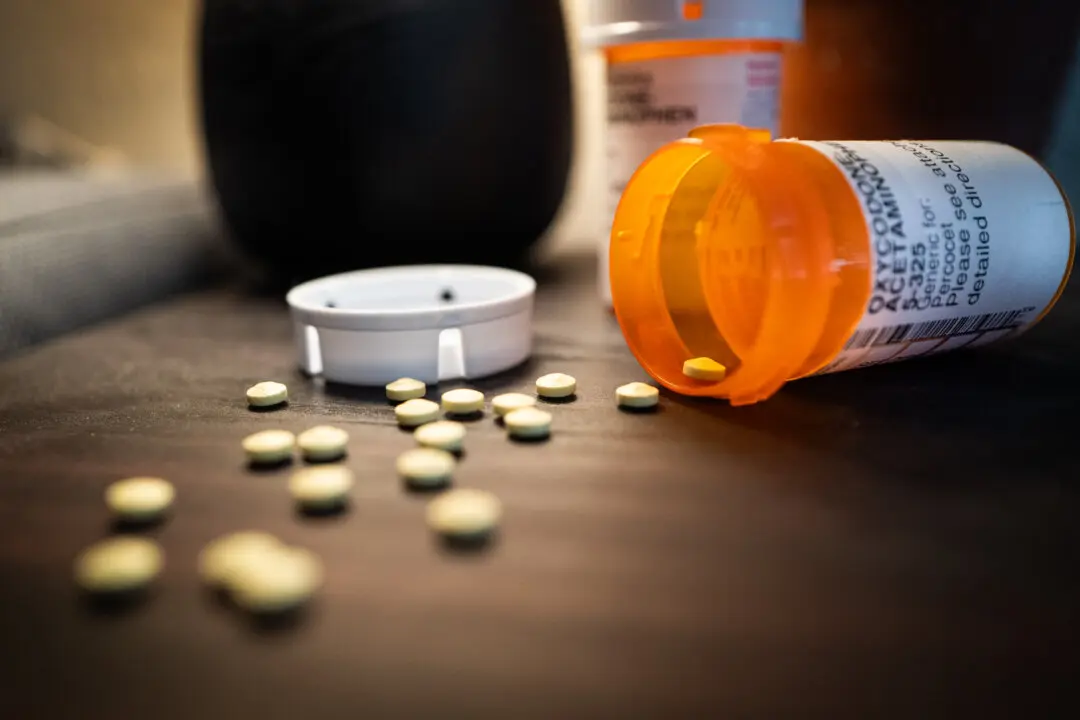 Labor MPs Admonish LNP’s Pause on Puberty Blockers as Court Deliberates Verdict