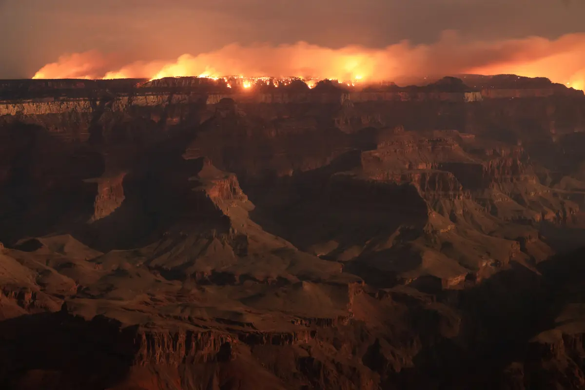 Months After Devastating Wildfire, Life Slowly Returns to Grand Canyon’s North Rim