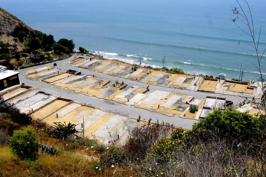 Defense Witnesses in Palisades Fire Trial Say Probe Was Tainted by Bias, Compromised Scene