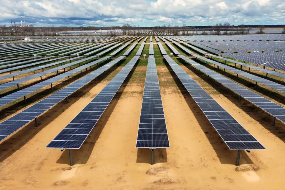 Treasury Department Guidance Restricting Green Credits Struck Down by Judge
